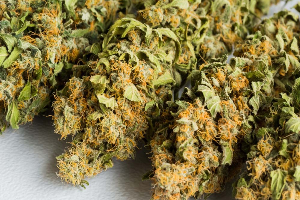 Sativa strains from a cannabis flower