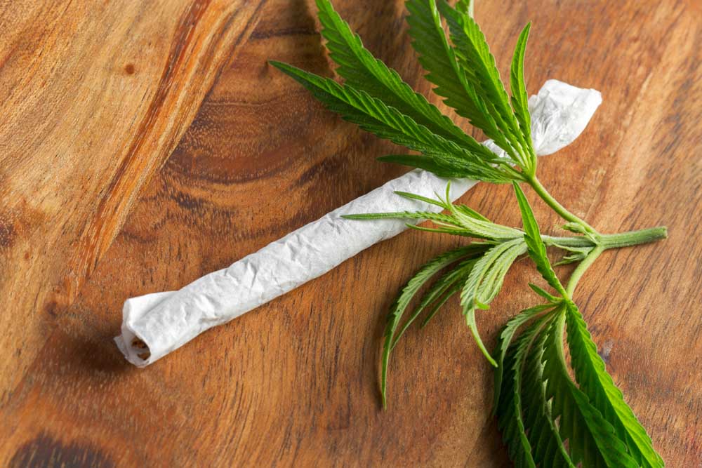 The Ultimate Guide to Different Strains of Weed