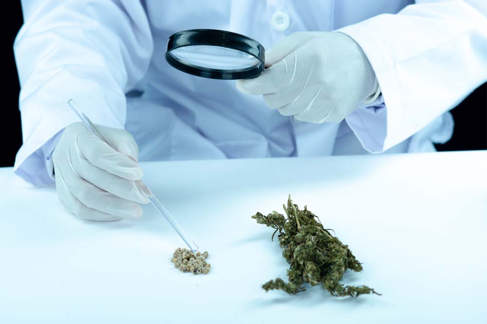 Hidden Benefits of Weed