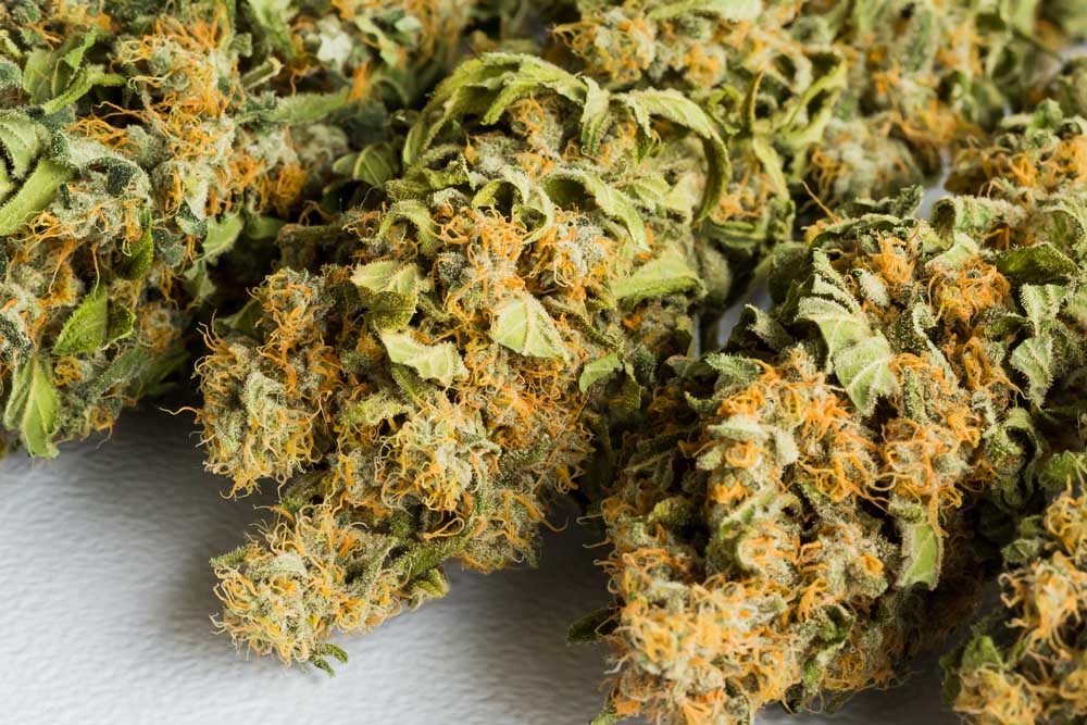 Indica Strains for Appetite Stimulation