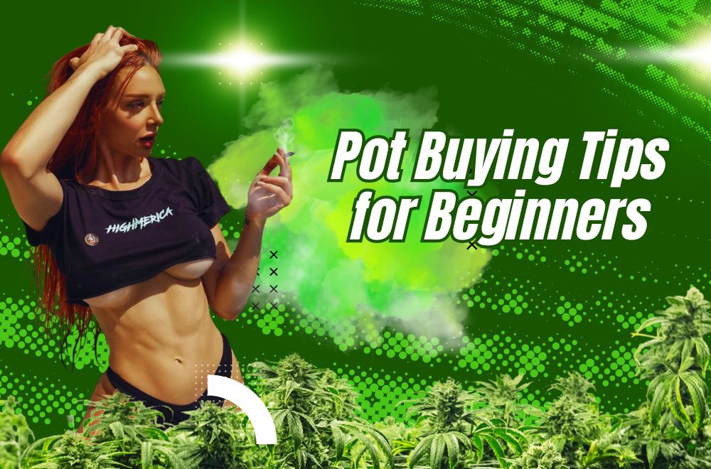 Pot Buying Tips for Beginners