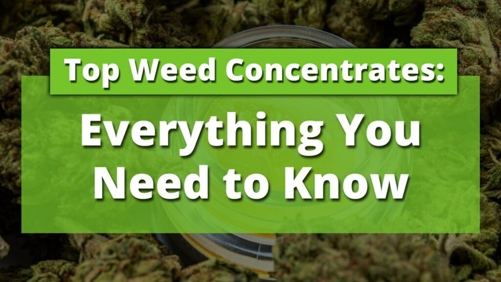 Top Weed Concentrates