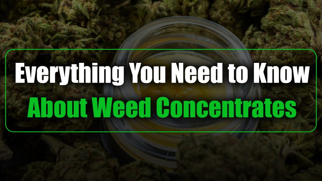 Everything You Need to Know About Weed Concentrates