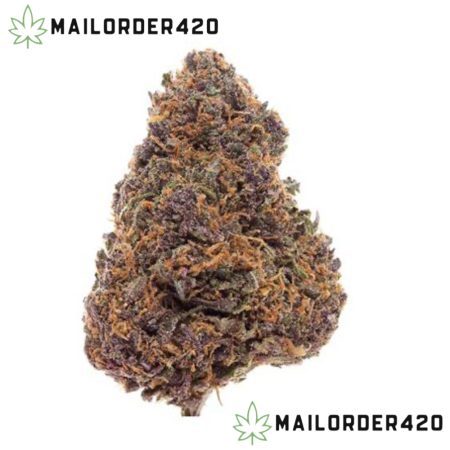 Forbidden Fruit - Mid