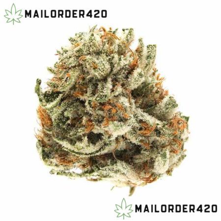 Gelato - Private Reserve