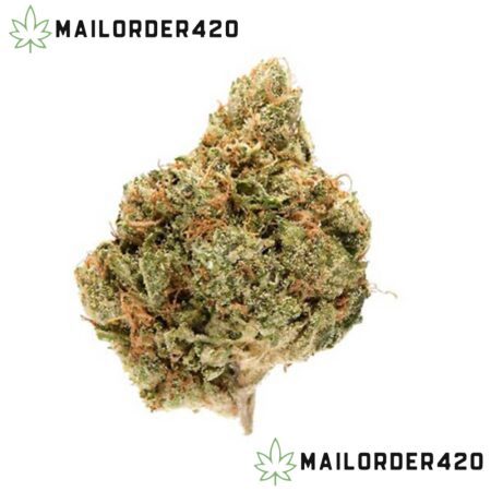 King Louis XIII - Private Reserve