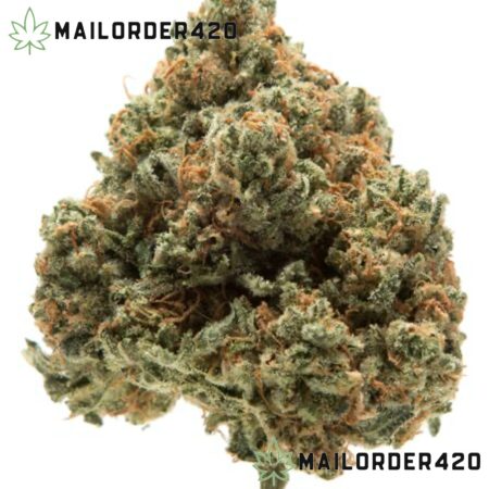 Kosher Dawg - Private Reserve