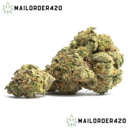 Orange Cookies - Top