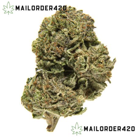 Platinum Bubba - Top