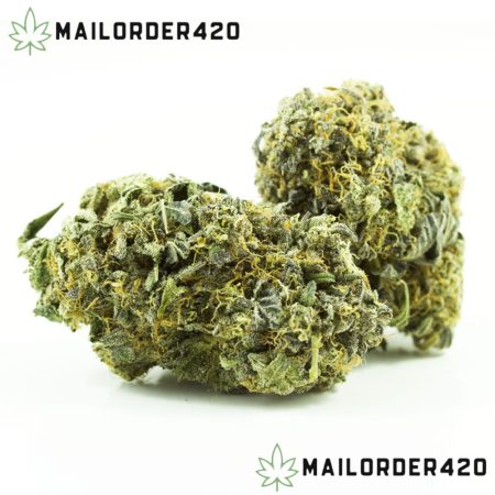 White Truffle Strain - Private Reserve