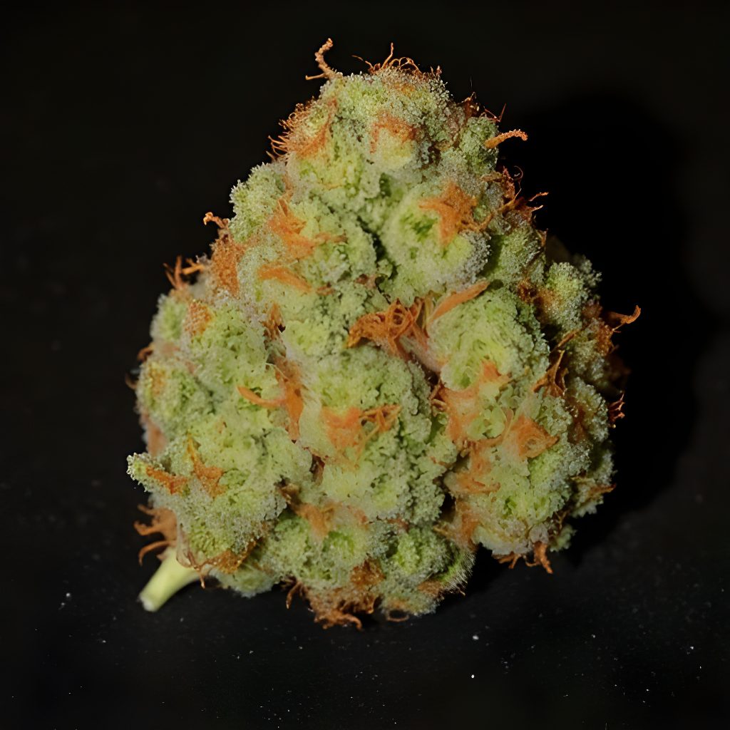 Lemon Cherry Gelato - Top - Image 4