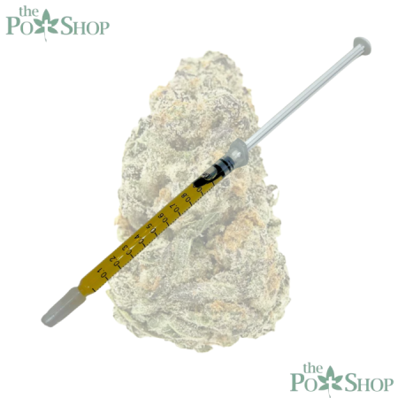 PURPLE PUNCH - SYRINGE