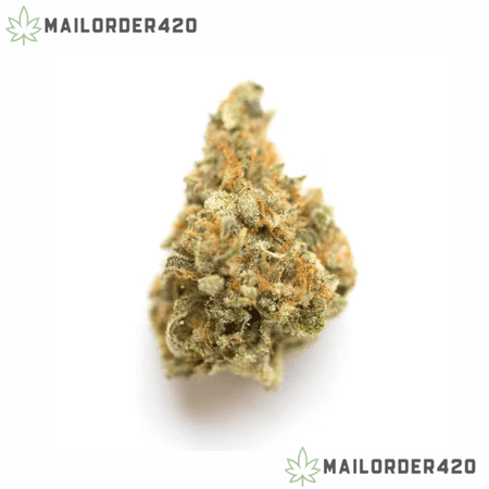 MAC (Miracle Alien Cookies) - Top