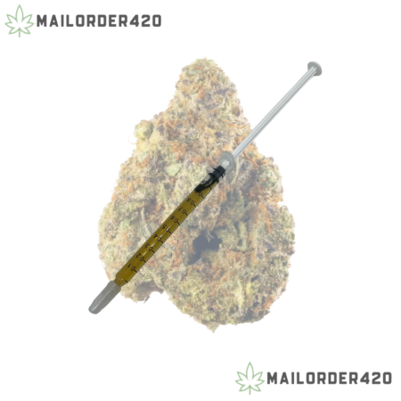 CANDY CAKE - SYRINGE