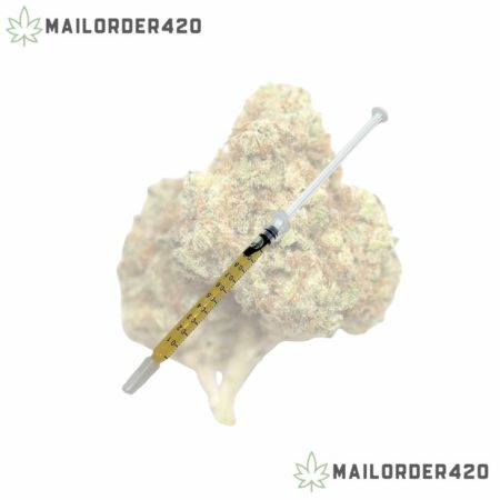 WATERMELON - SYRINGE